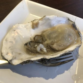 仮想通貨より人気のイーラーニング研究所での研究に注目